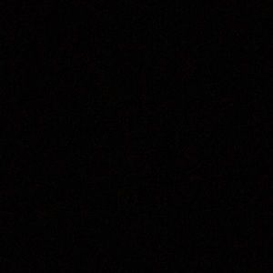 Meet your Posher, Iliana